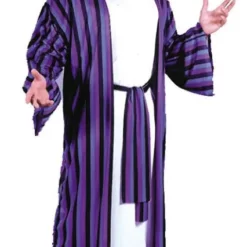 Chic Sheik Plus Size Adult Costume