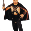 Viking Warrior Adult Costume